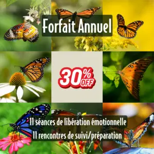 Forfait annuel - Séances de libération émotionnelle de groupe (11 séances et 11 suivis)