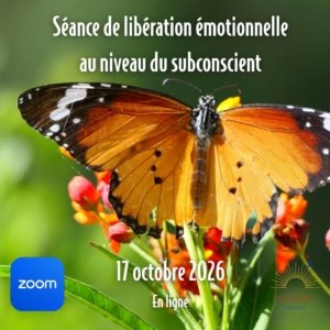 Séance (17 oct 26) + rencontre de suivi