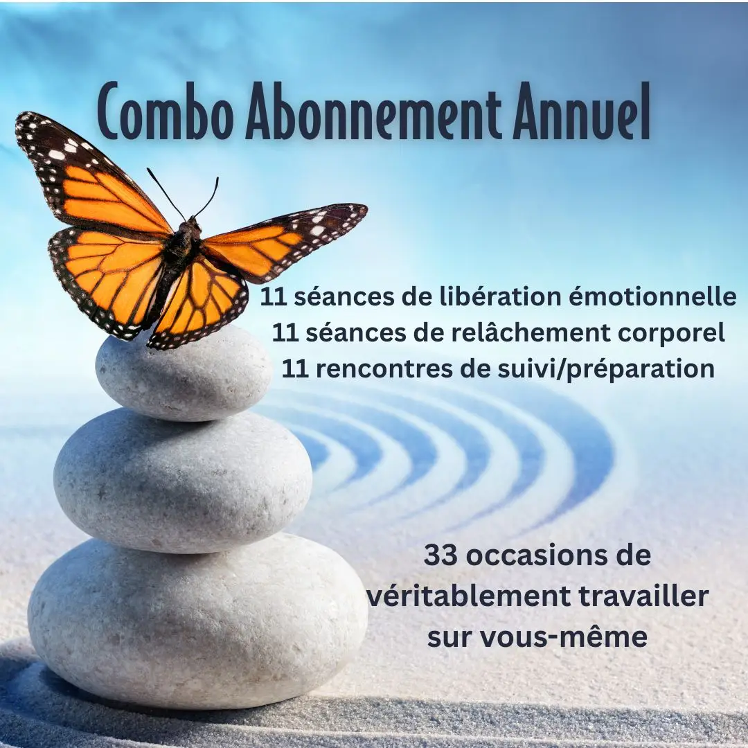 Combo Abonnement Annuel