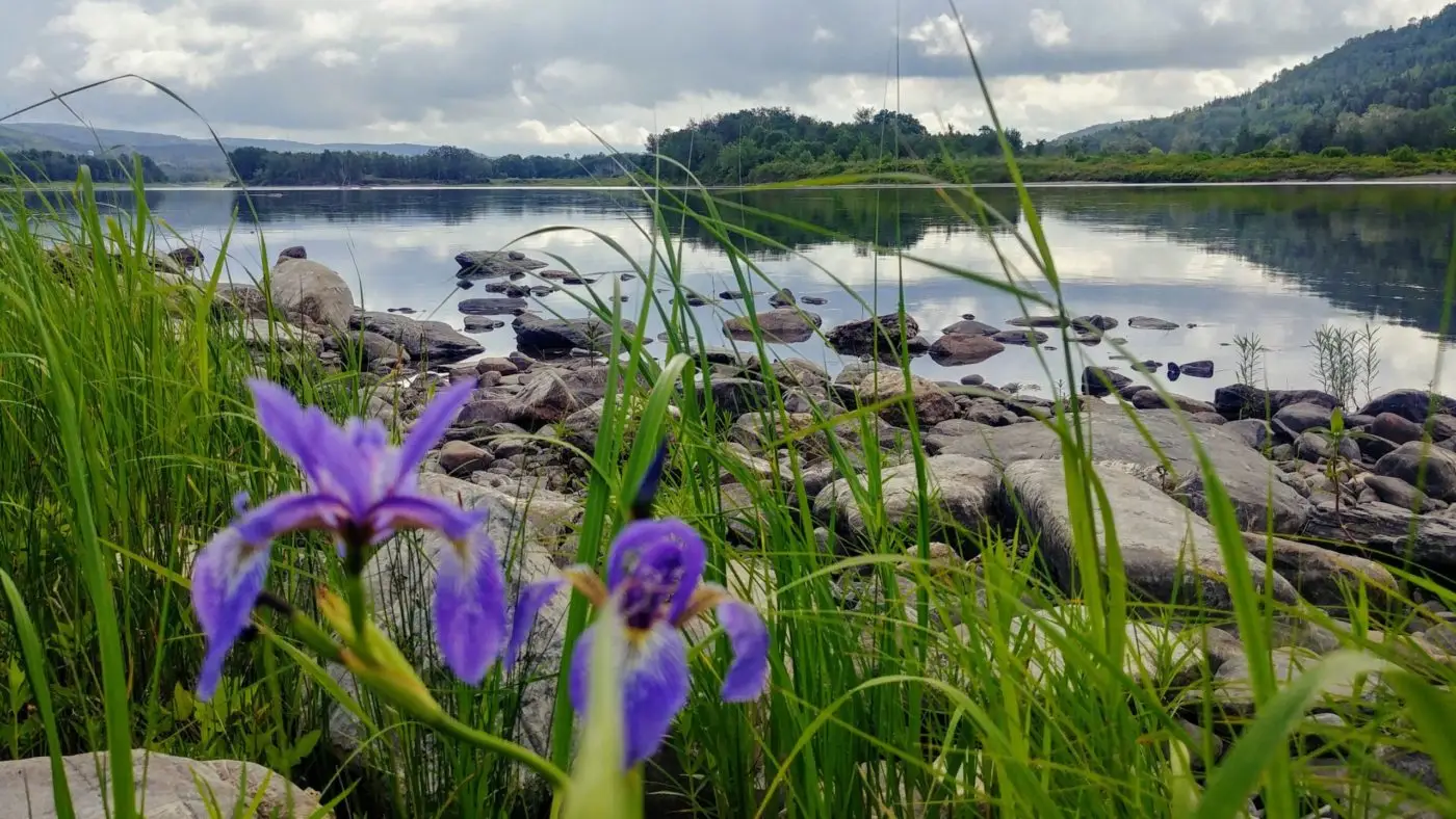Vue de Edmundston